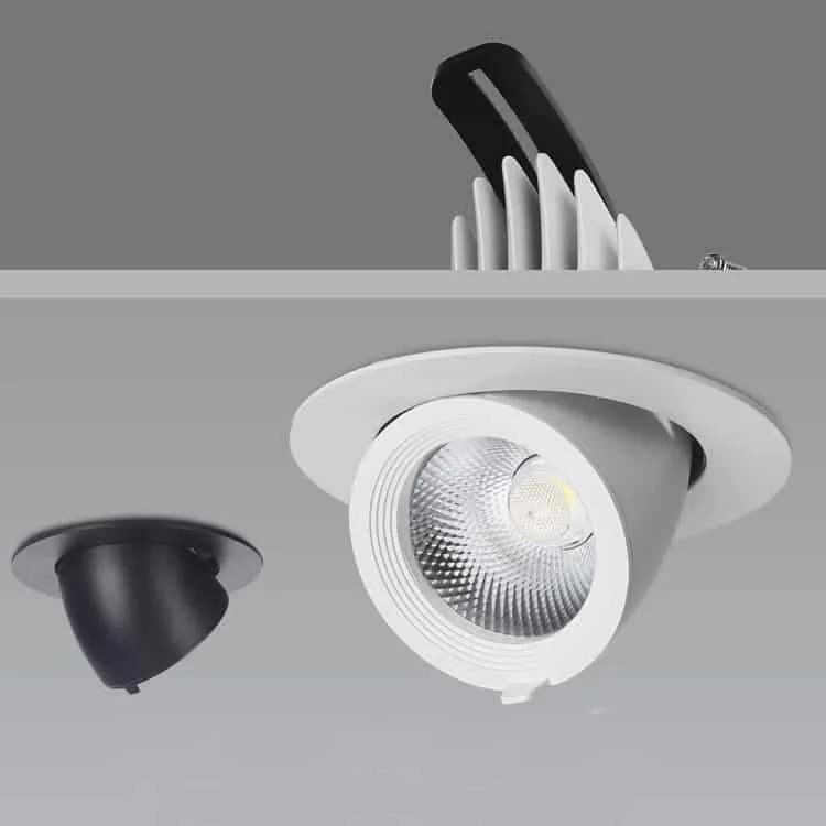 Leddownlight met richtbare rand