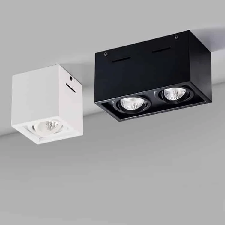 Opbouwdownlight met één of twee richtbare spots