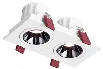 Richtbare dubbele downlights