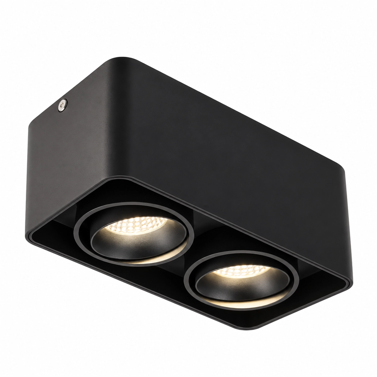 black double head surface downlight white studio
